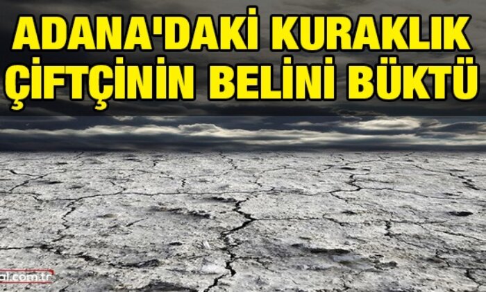 Adana’daki kuraklık çiftçinin belini büktü