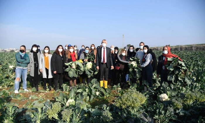 Kadınlar işbirliği yapıyor!