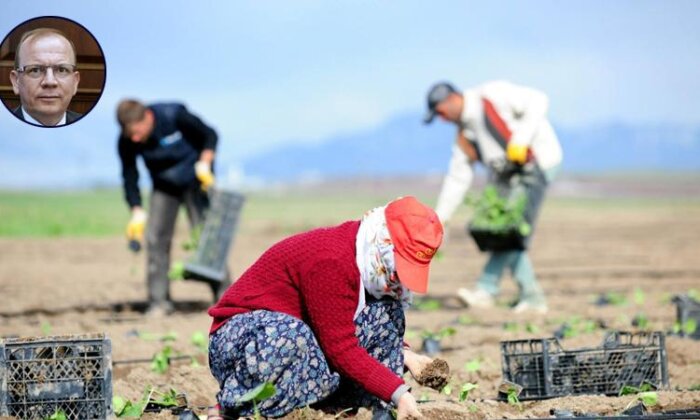 TOBB Yönetim Kurulu Üyesi Matlı, merkezi plan bölgesel üretim modelini anlattı