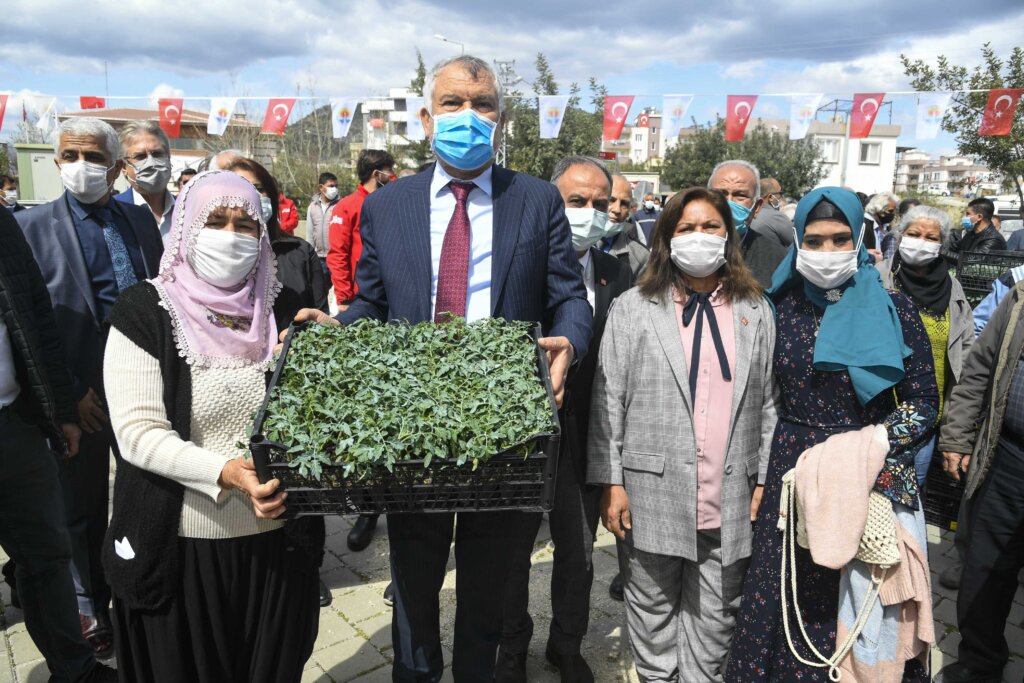 Karaisalı’da üreticiye 100 bin domates fidesi daha dağıtıldı