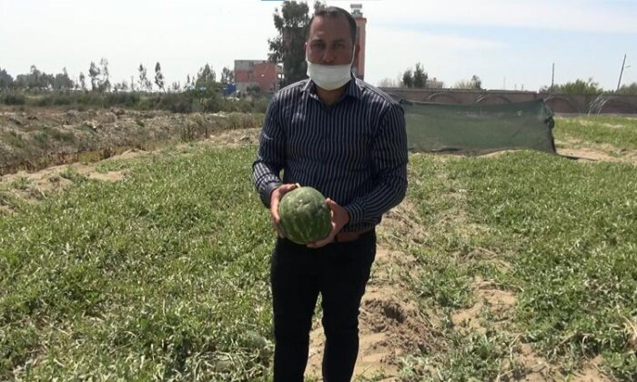 Tarlaları dolu vurdu karpuzlar talan oldu