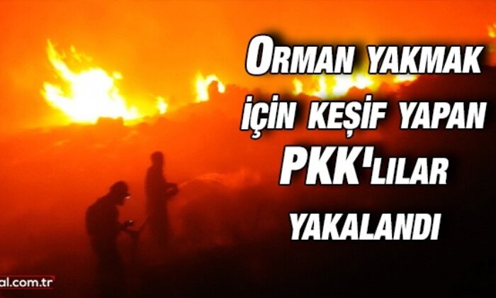 Orman yakmak için keşif yapan PKK’lılar yakalandı