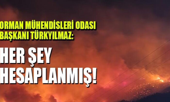 Orman Mühendisleri Odası Başkanı Türkyılmaz: Her şey hesaplanmış!