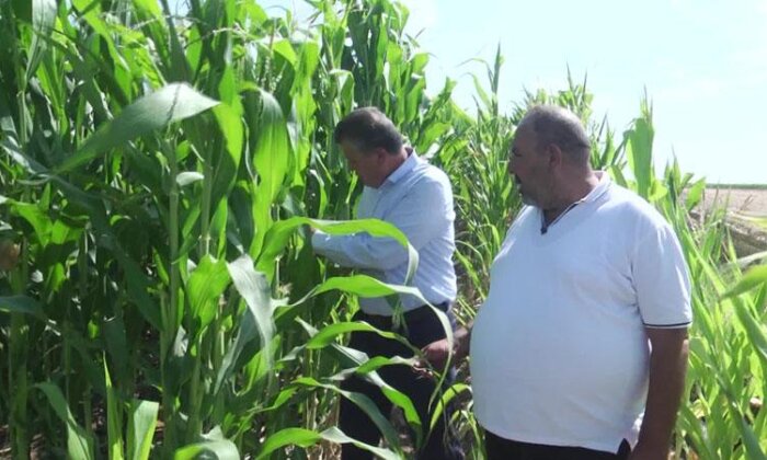 Çiftçiden elektrik faturasına tepki: Fabrika mı çalıştırıyorum ben