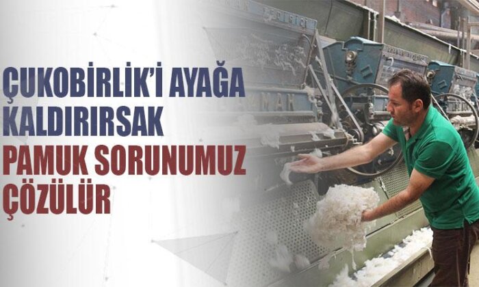 Çukobirlik’i ayağa kaldırırsak pamuk sorunumuz çözülür