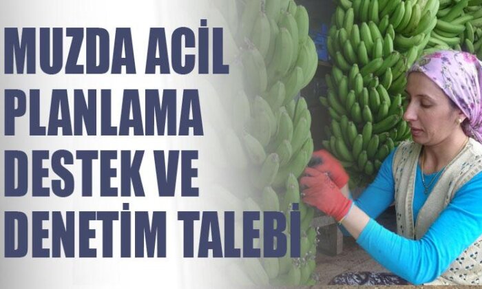 Muzda acil planlama destek ve denetim talebi