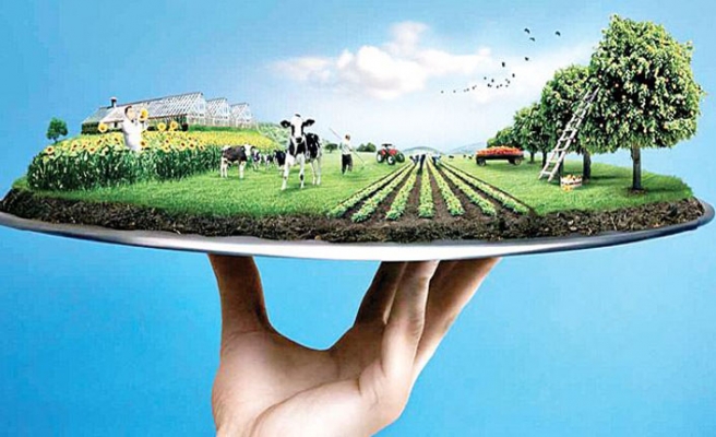 Mutfaktaki yangını söndürmek için kaynakları üretime aktarın! / Niyazi Koç yazdı