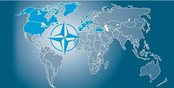 NATO ve Aydınlar! / Niyazi Koç yazdı