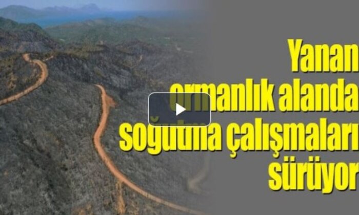 Marmaris’te yanan ormanlık alanda soğutma çalışmaları sürüyor