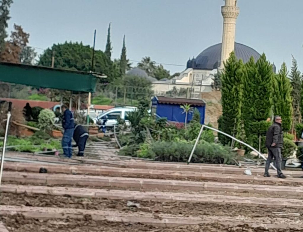 Yüreğir Belediyesi, 3 dönüm fidanlığı kaldırıyor mu!