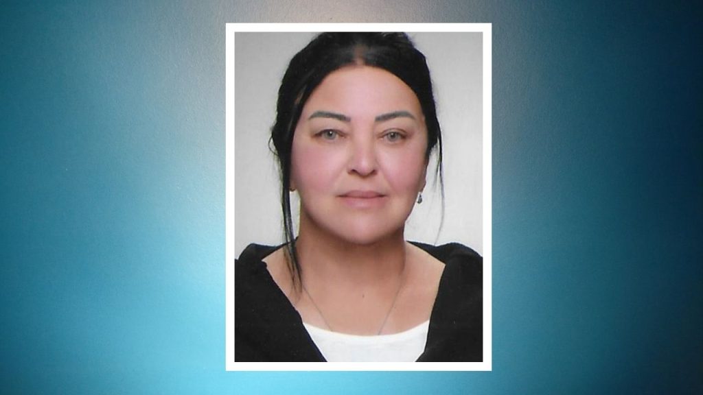 Hasibe Akkan, CHP’nin başkan vekili adayı
