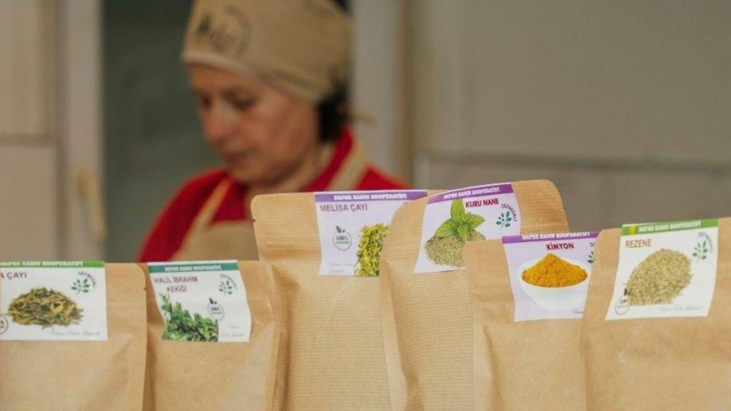 Kooperatiflerin girişimcilik kapasiteleri güçleniyor