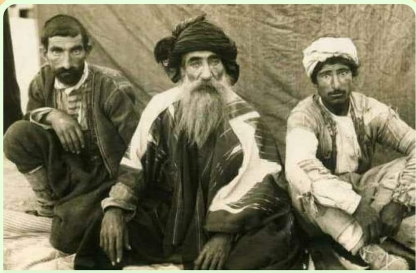 Dersim’in dersi! / Suay Karaman