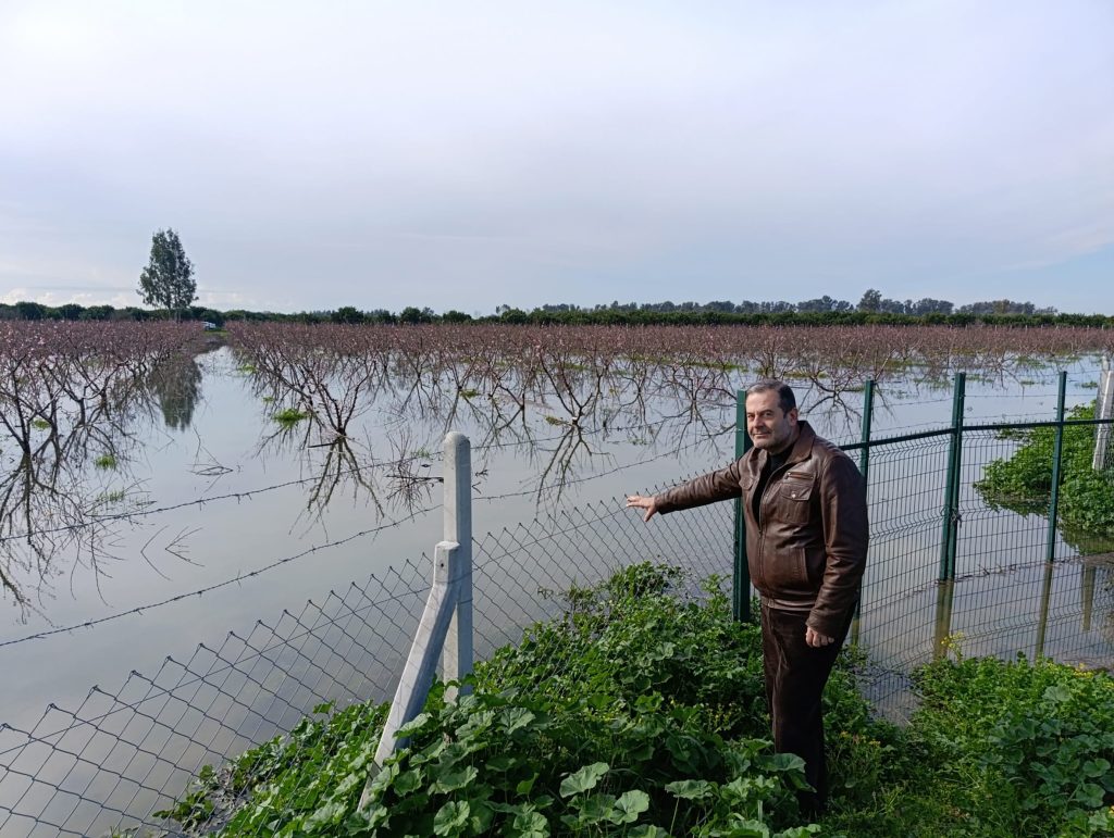Çukurova’da yağışlar meyve bahçelerini vurdu