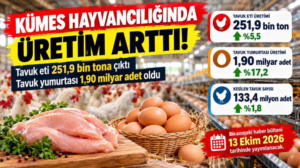 Yedi aylık tabloda yumurta öne çıktı