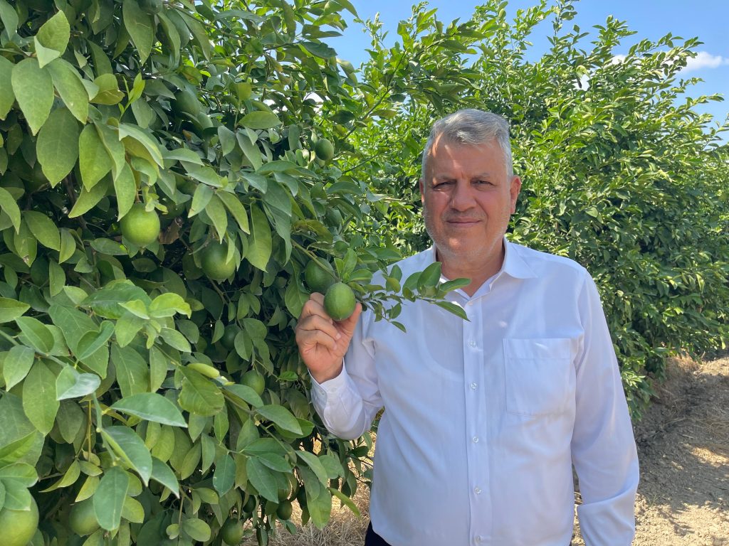 “Limon dalda kaldı, iktidar sadece seyrediyor”